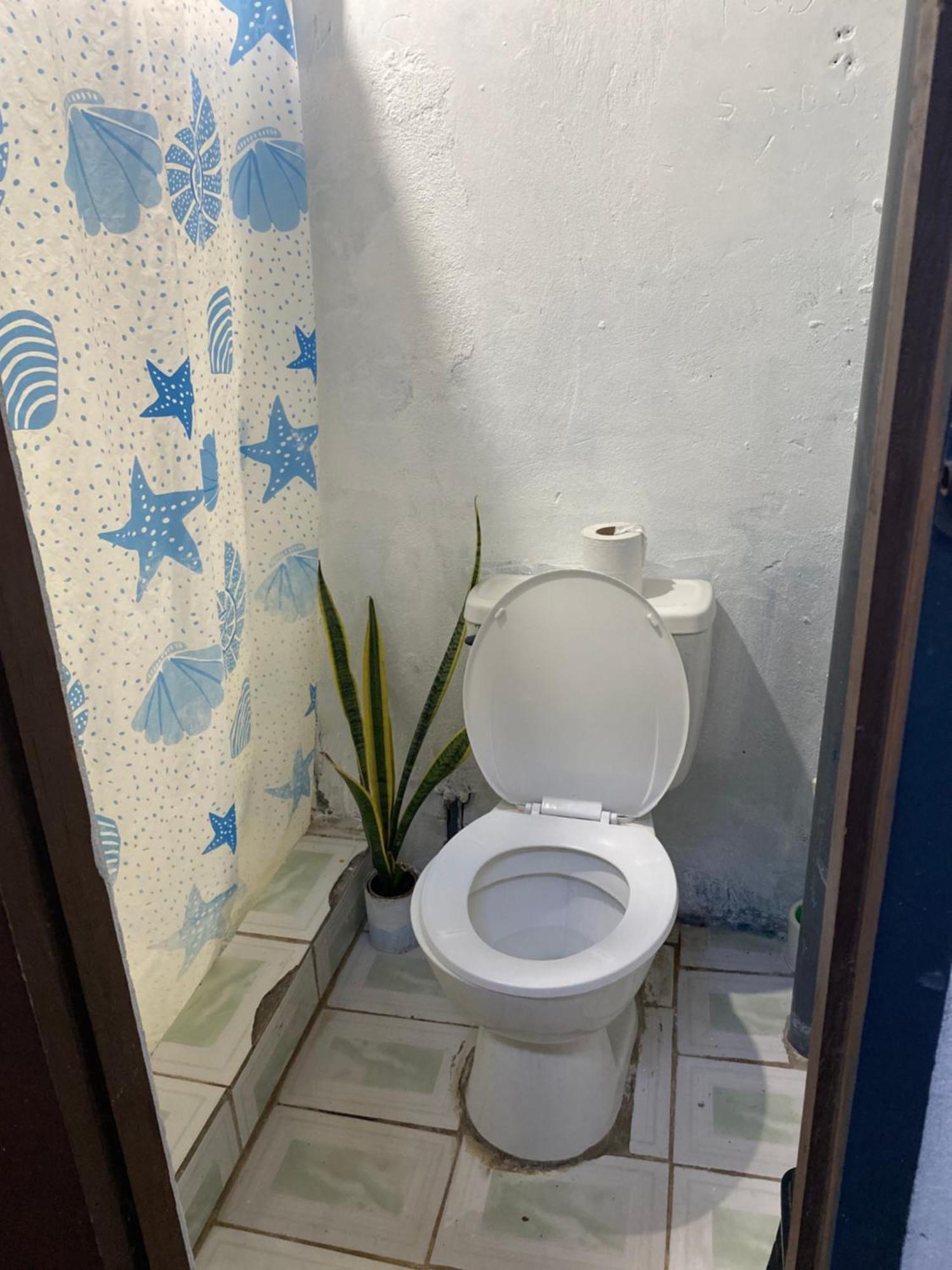 ホテル Lulu House & Art サン・フアン・デル・スル エクステリア 写真